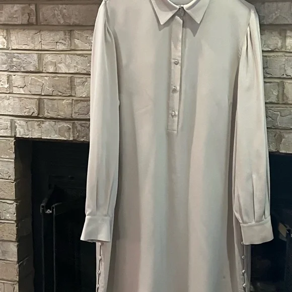 Club Monaco Beige Long Sleeve silk Dress size 10 worn once - Picture 2 of 6